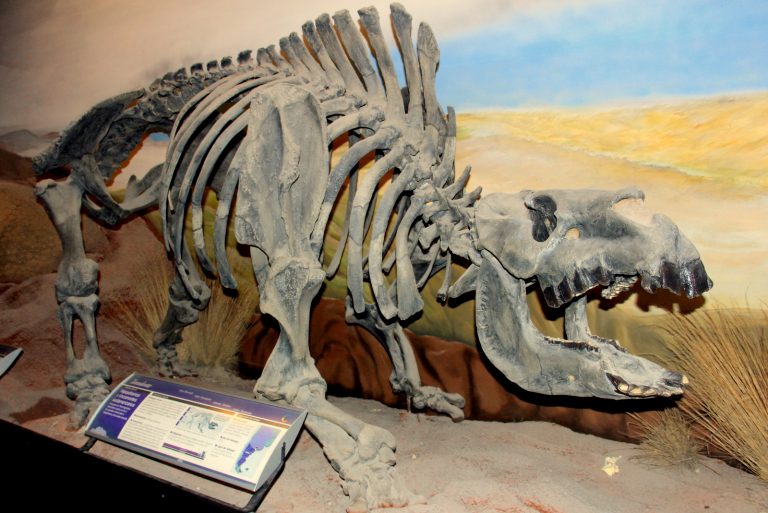 Visitando dinossauros em Trelew