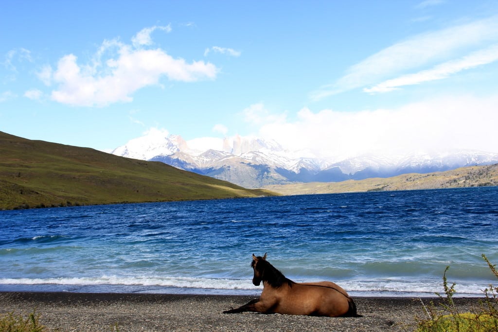 Torres Del Paine (16)
