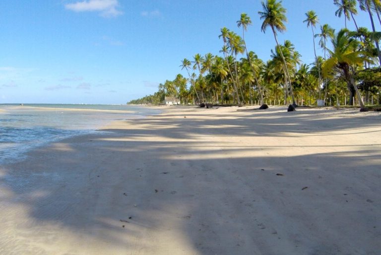 A Paradisíaca Praia dos Carneiros