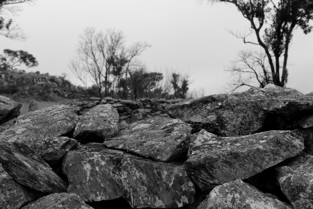 Serra da Canastra (195)