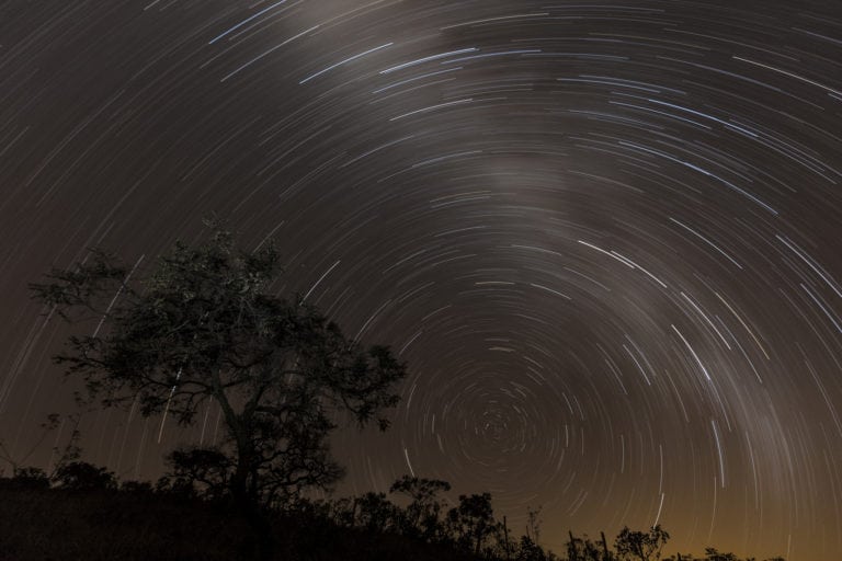 Milho Verde fazendo o nosso mundo girar