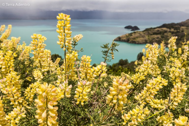 A Carretera Austral e a estrada sem fim