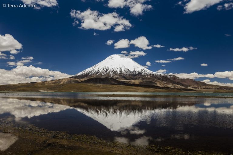 Os segredos de Arica e as paisagens estonteantes do Parque Lauca