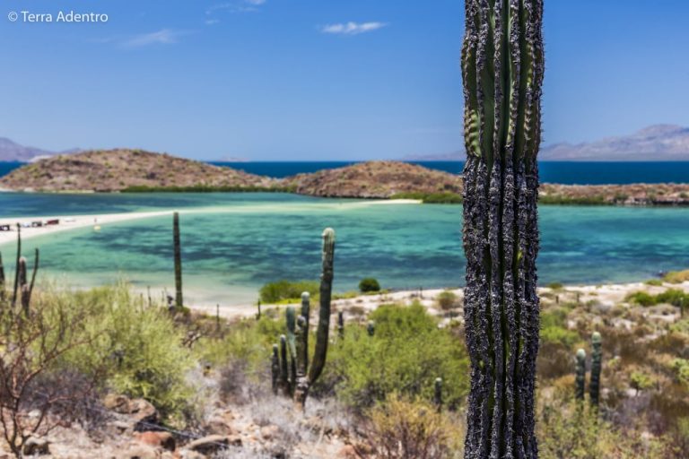 A Baja Califórnia, o nosso destino preferido do México