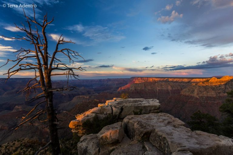 A imensidão da natureza no Grand Canyon