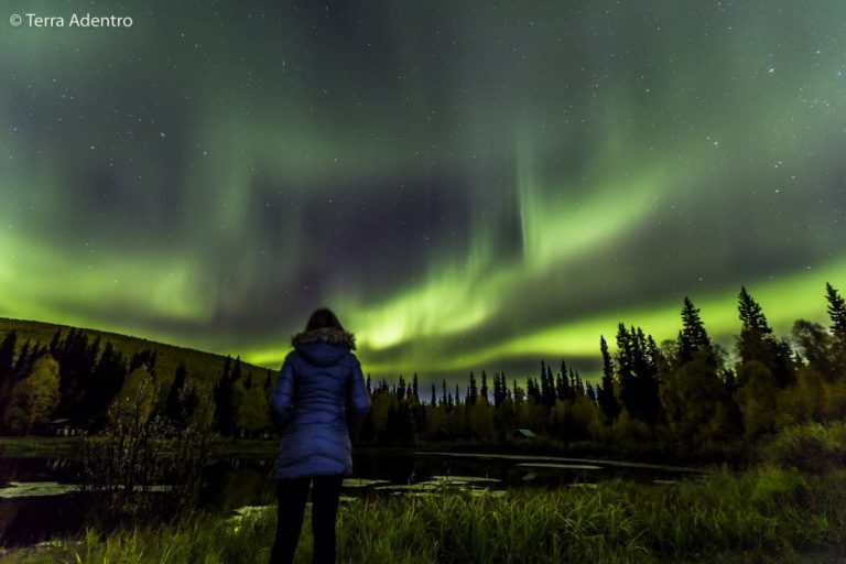 Alaska, a última fronteira das Américas