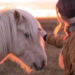 Explorando a Felicidade: Conheça a Magia da Islândia