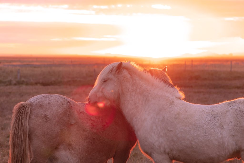 O Extremo Norte do planeta vai te surpreender. Confira os 7 fenômenos naturais que parecem de outro mundo.