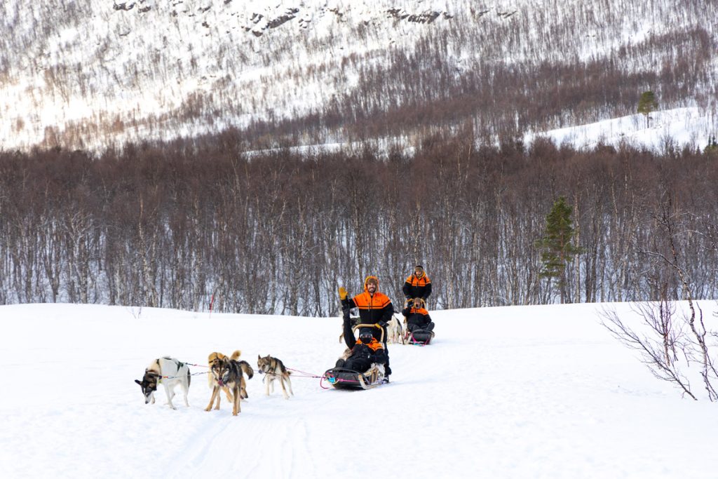 Viajantes da Expedição Ártico®️ em um tour de Dog Sledding na Noruega